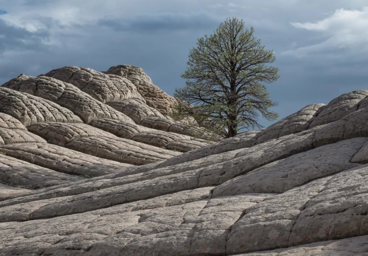 white pocket vermilion cliffs