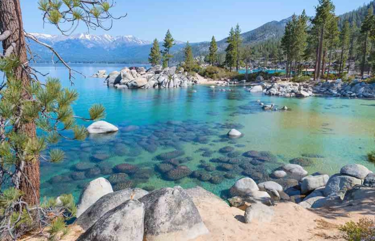 things to do in Northern California