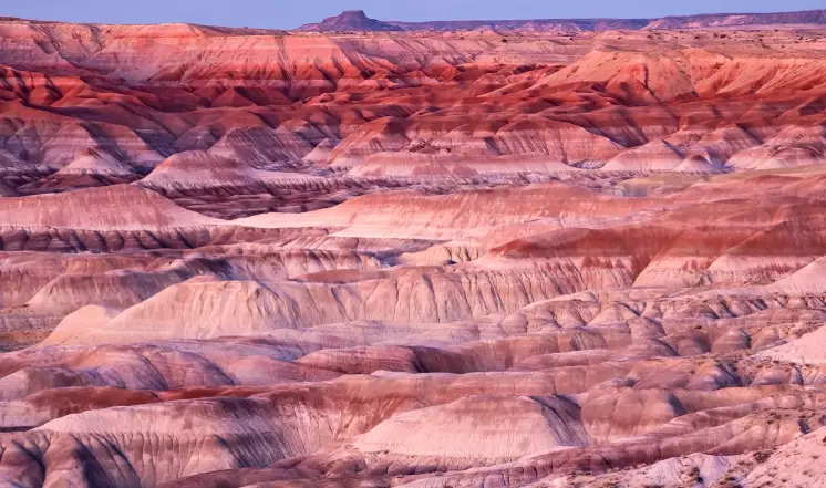 Petrified Forest National Park fees