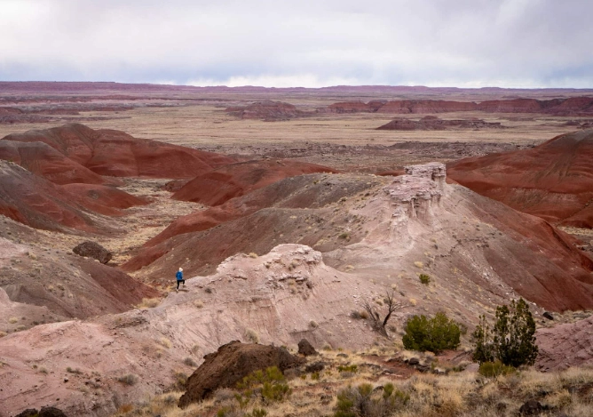 Petrified Forest National Park fees