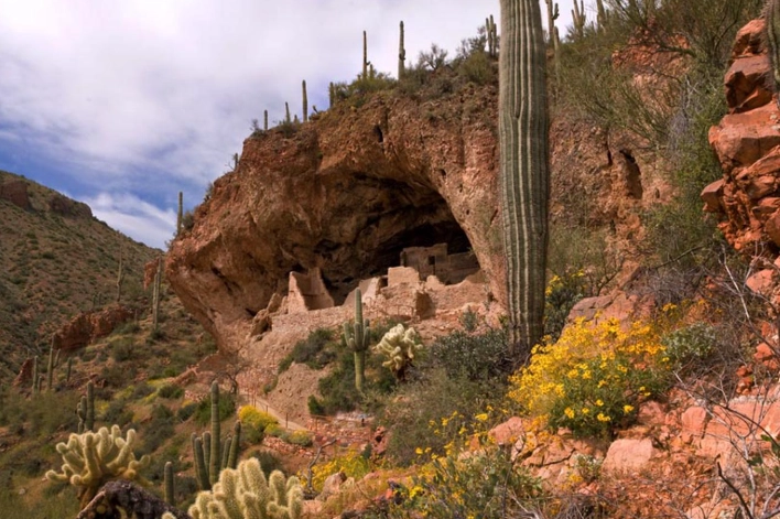 Tonto National Forest things to do