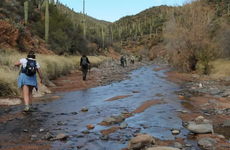 Tonto National Forest hiking Tonto National Forest hiking