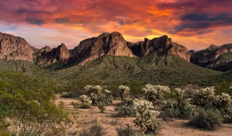 Tonto National Forest things to do