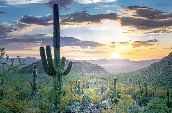 four deserts of north america