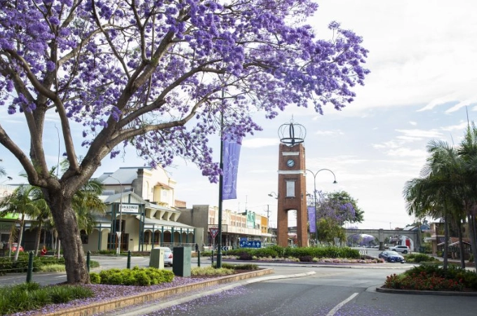 Grafton Jacaranda Festival