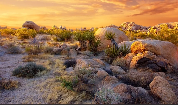 north american deserts map