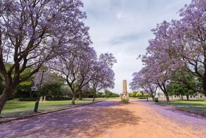 things to do in Grafton