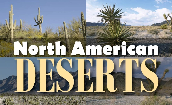 four deserts of north america