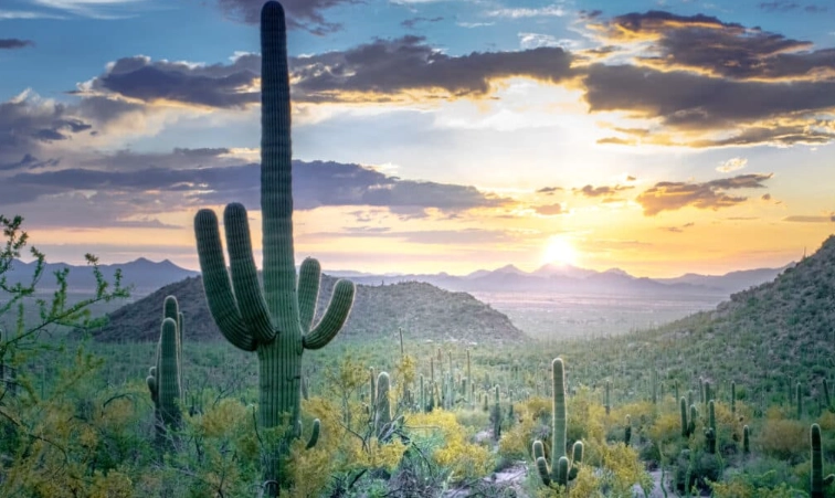 largest desert in the us