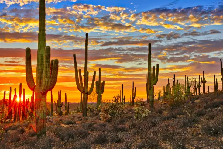 Arizona New Mexico Climate Arizona New Mexico Climate