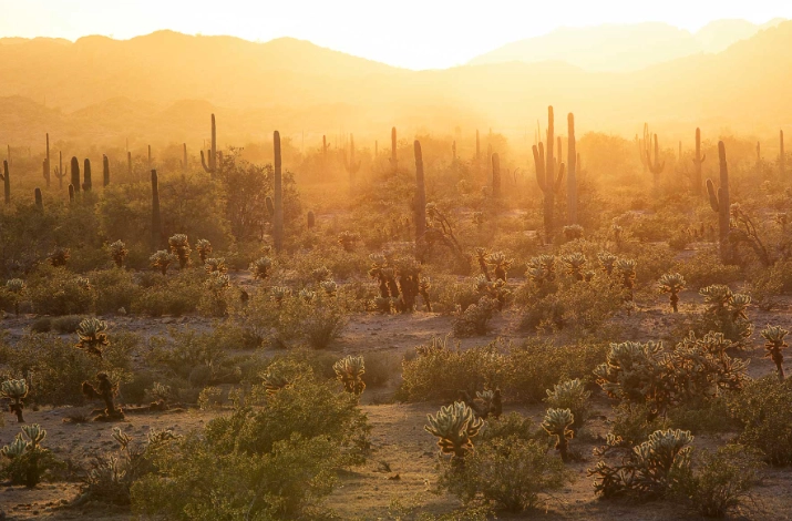 Southwestern united states climate