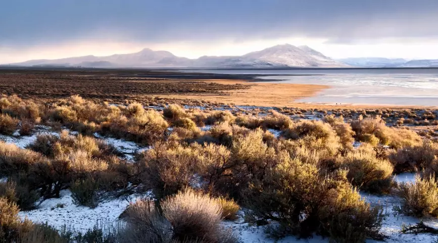 Alvord Desert