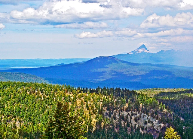 cloudcap overlook camping