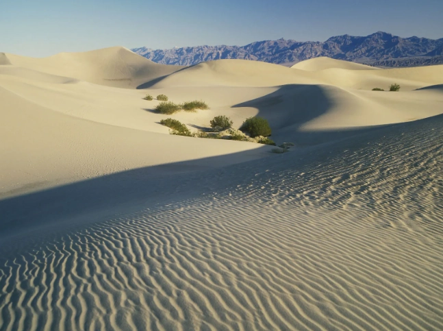 The Great Basin Desert: A Complete Guide to America's Cold Desert