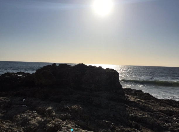 point reyes sculptured beach