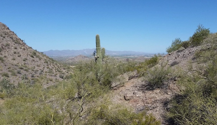 Estrella Mountain Regional Park trails