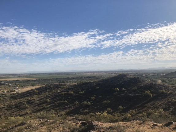 Phoenix desert parks