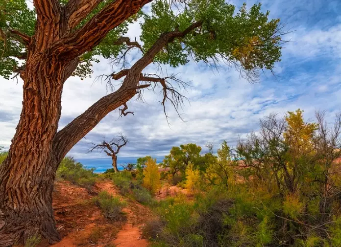 madera canyon hiking