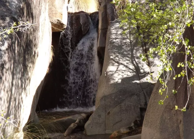 madera canyon birding