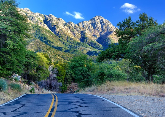 Madera Canyon Arizona: The Ultimate Guide to Birding & Hiking