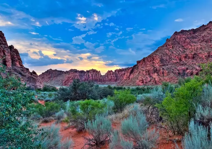 Snow Canyon State Park Utah