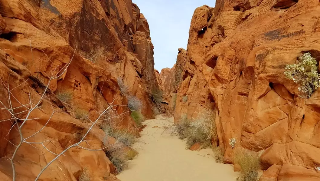 Fire Canyon Travel Guide: Hiking, Photography, and Insider Tips