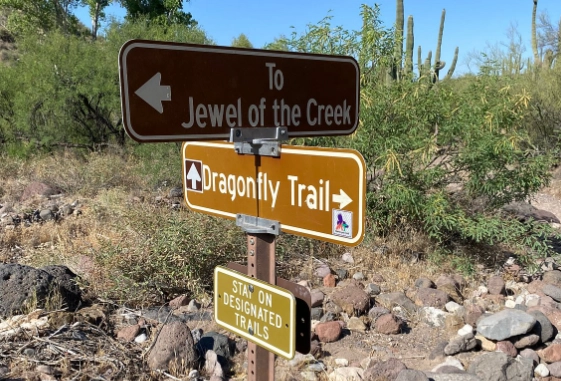 things to do in Jewel of the Creek Preserve