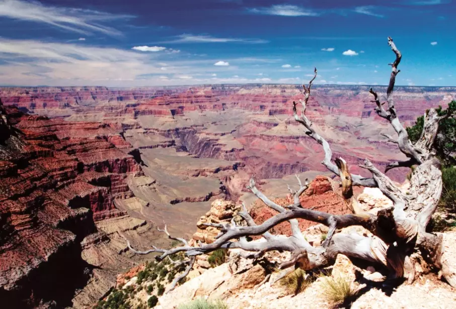 grand canyon location