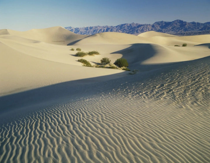 Exploring the Majestic Deserts of the USA: A Traveler's Ultimate Guide