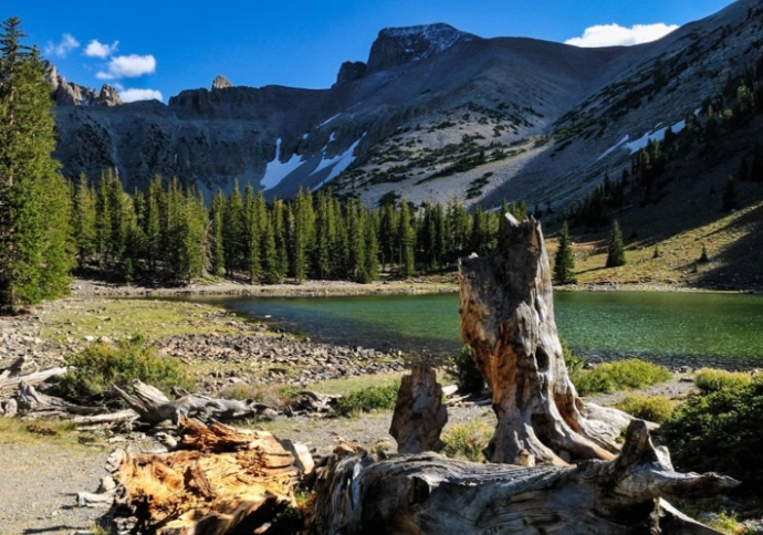 Grand Basin National Park: Ultimate Guide to Hiking, Stargazing & Planning Your Visit