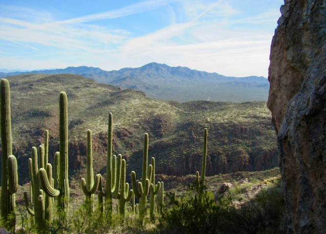 hiking saguaro west