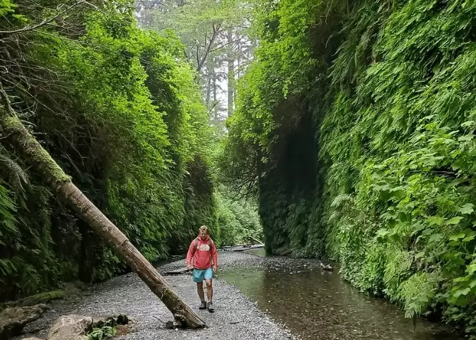 Fern Canyon Hike Guide: Jurassic Park Filming Location in Redwoods