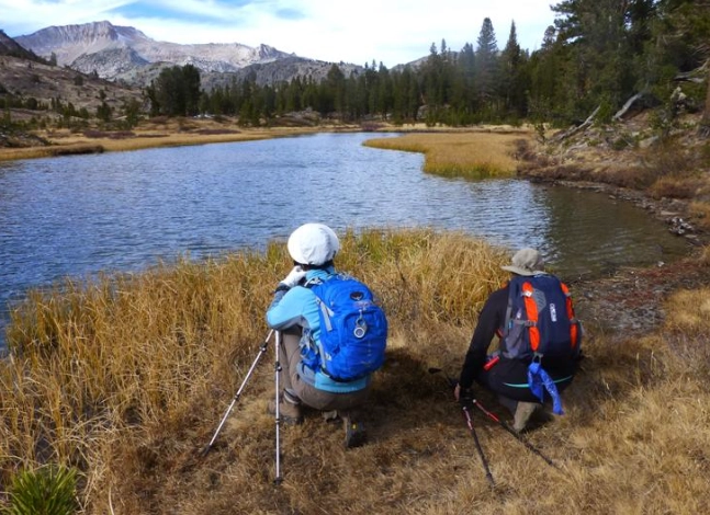 Bennettville historic district