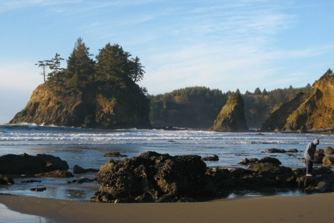 northern california beaches