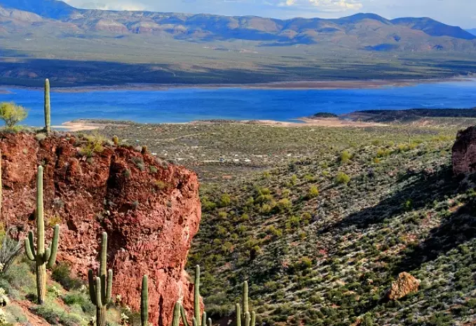 Roosevelt Lake fishing