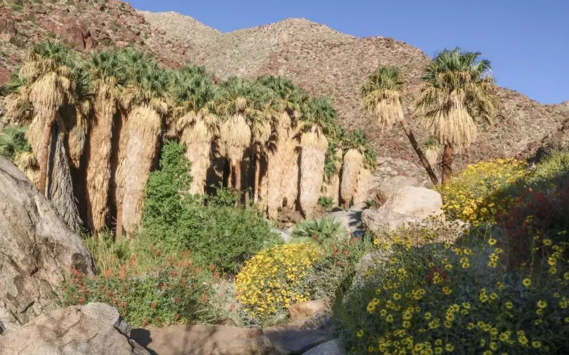 things to do in Anza-Borrego things to do in Anza-Borrego