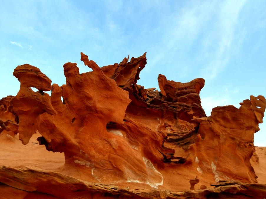 finland forest nevada