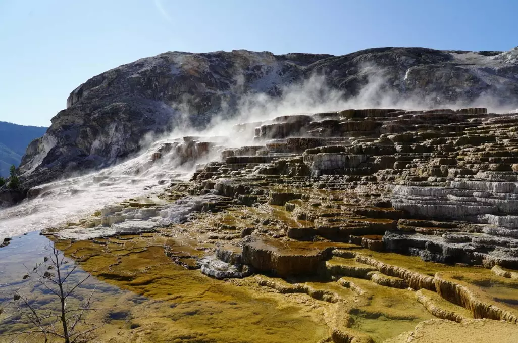mammoth hot springs mammoth hot springs