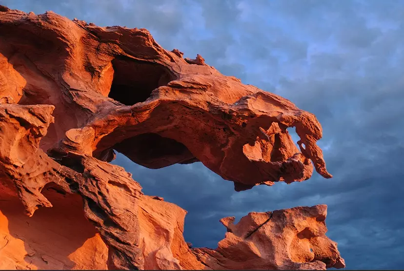 finland forest nevada