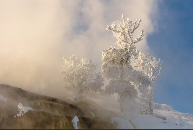 mammoth lake terraces mammoth lake terraces
