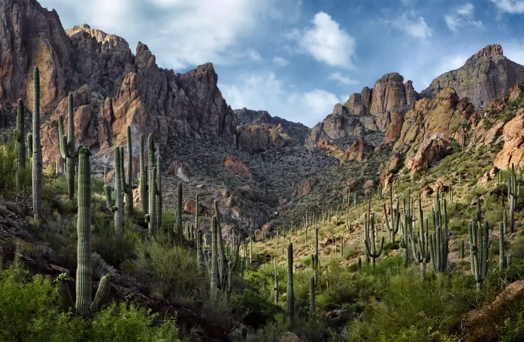 Tonto National Forest hiking