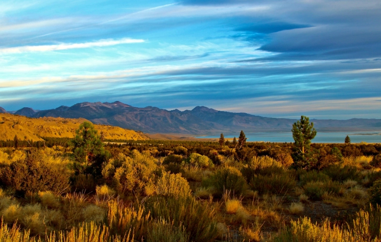 cold desert facts cold desert facts