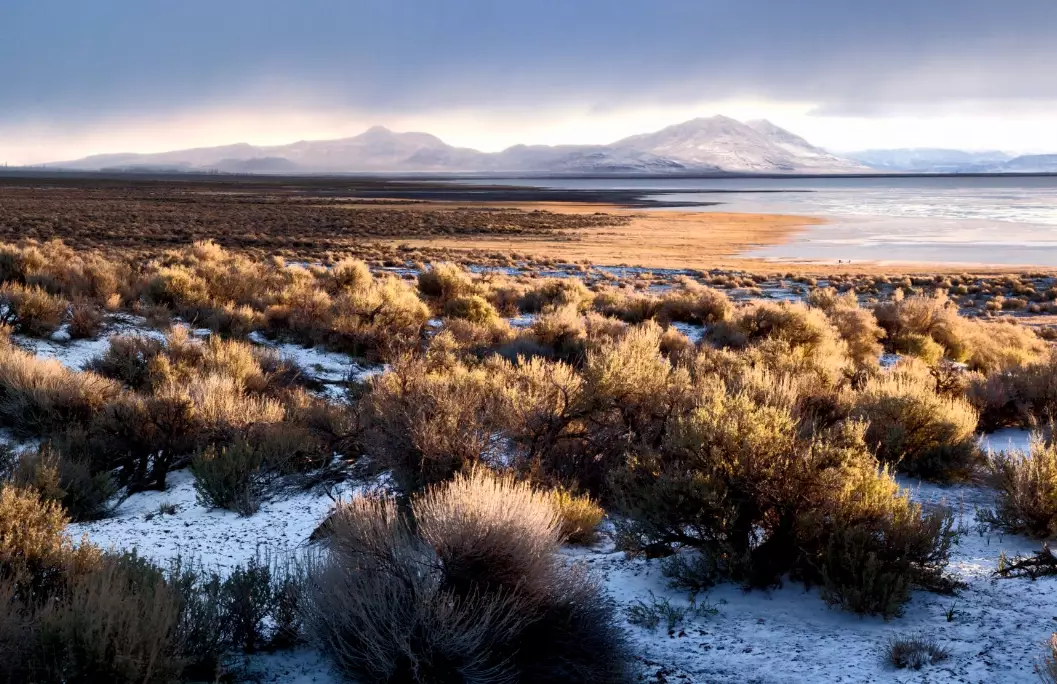 Oregon desert road trip