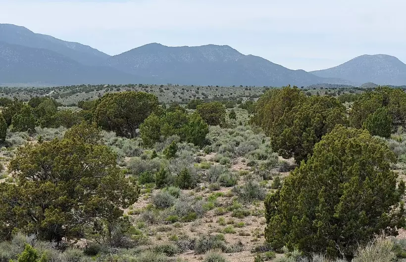 cold desert facts cold desert facts