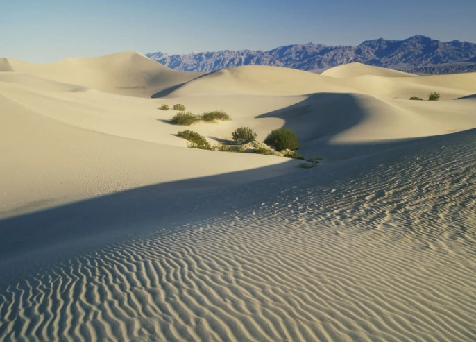 cold desert facts cold desert facts