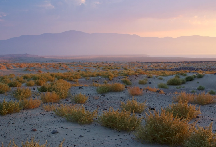 stargazing Great Basin stargazing Great Basin
