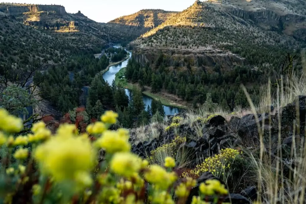 Alvord Desert camping