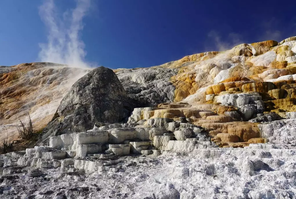 mammoth terraces california mammoth terraces california