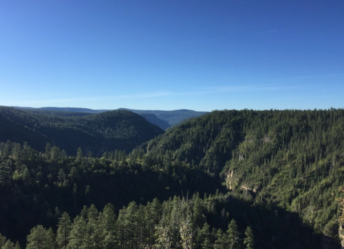 Sycamore Canyon hiking