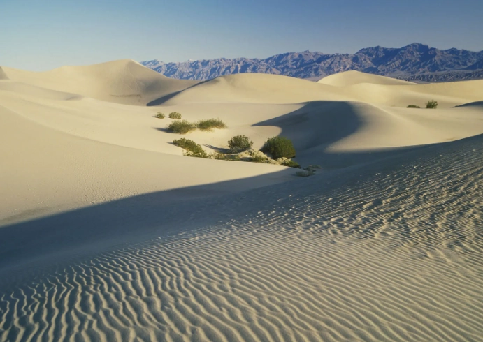 American desert travel